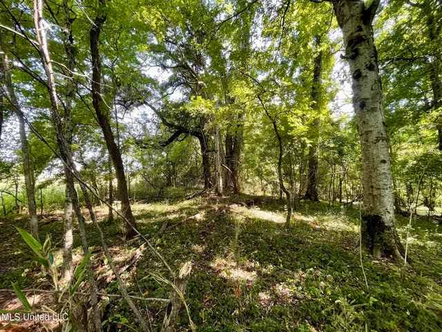 $1,250,000 | Bolivar Road, Benoit, MS 38725