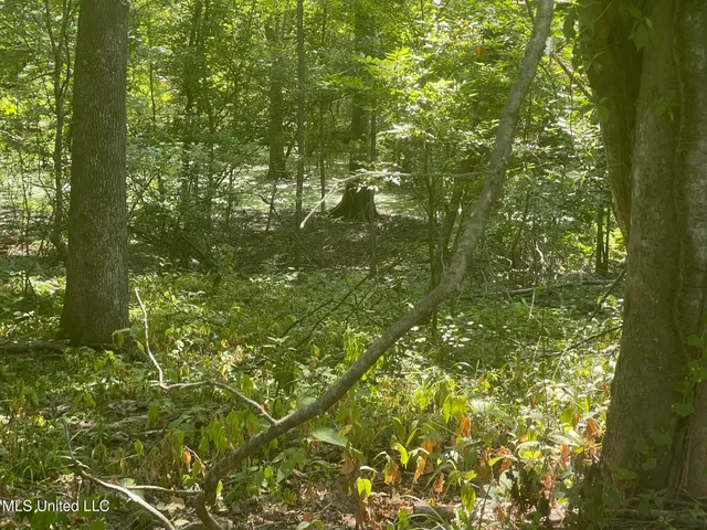 $1,250,000 | Bolivar Road, Benoit, MS 38725