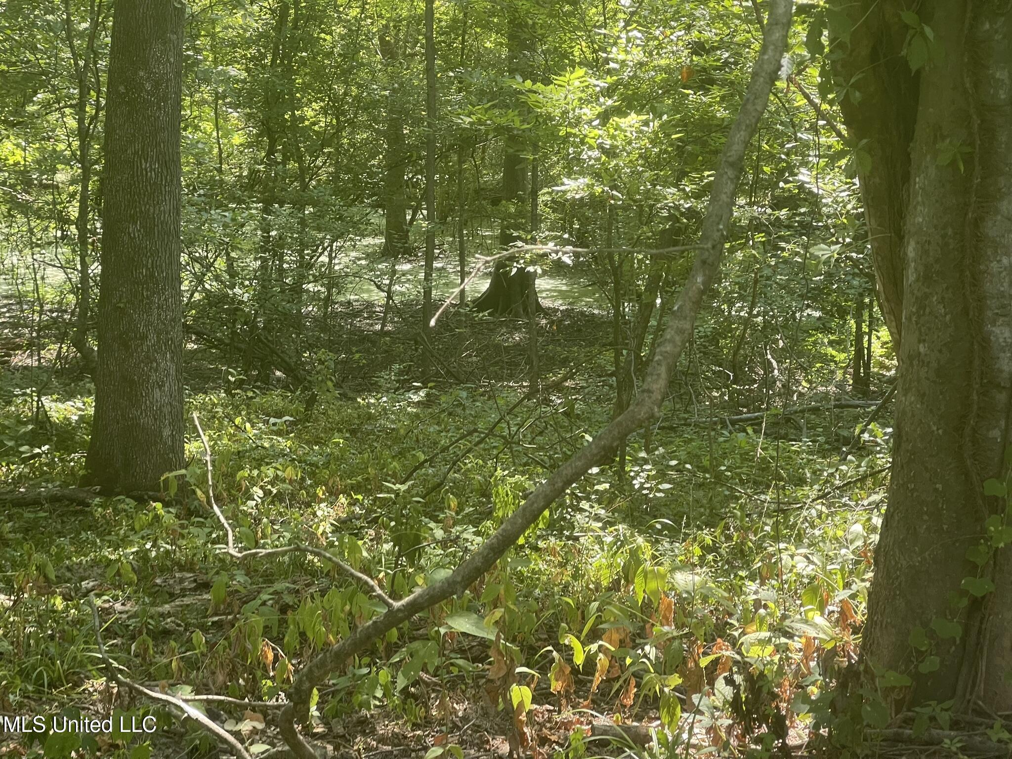 Bolivar Road Benoit, MS 38725 - Photo 100 of 112 IMG_5094