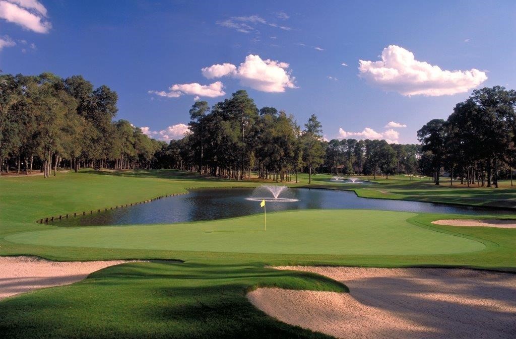 13151 Walden Road, Unit 127 Montgomery, TX 77356 - Photo 33 of 46 a view of a golf course with a lake