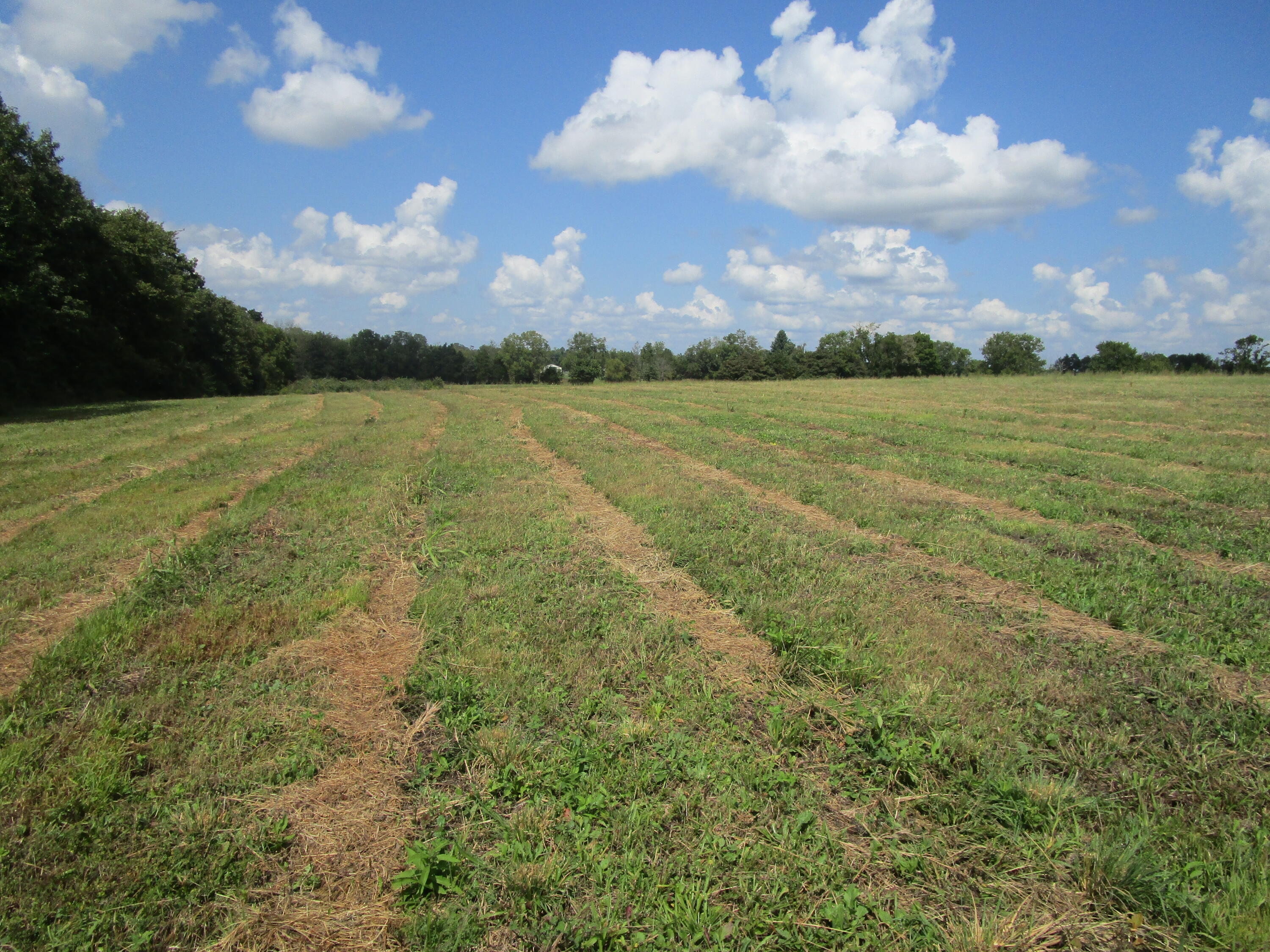 325 Wheat School Road Salvisa, KY 40372 - Photo 1 of 8 IMG_0367