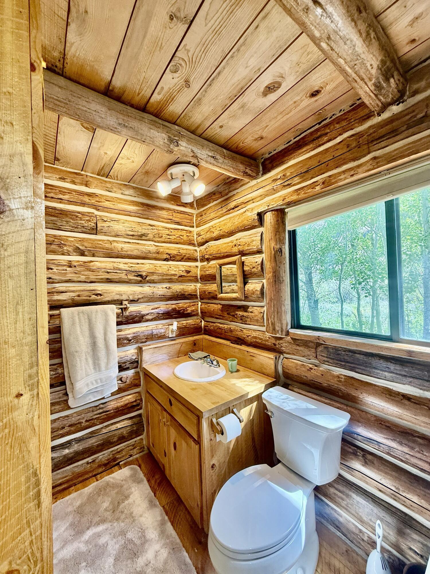 4299 North Fork Road Mackay, ID 83251 - Photo 20 of 27 Bathroom