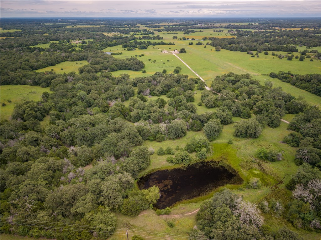 10102 Ferrill Creek Road Bryan, TX 77808 - Photo 23 of 29