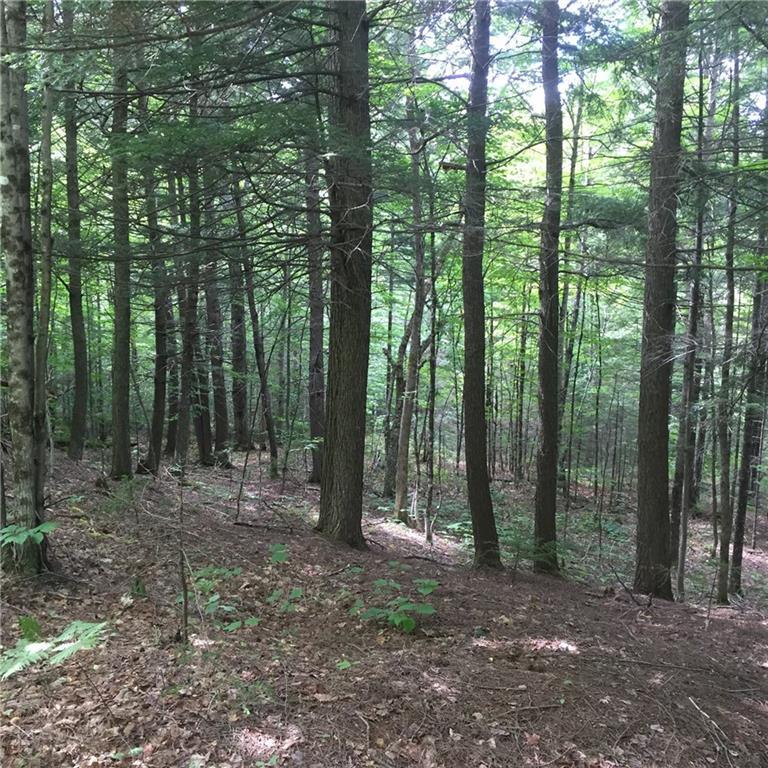992 West Mills Road Industry, ME 04938 - Photo 6 of 15 Photo