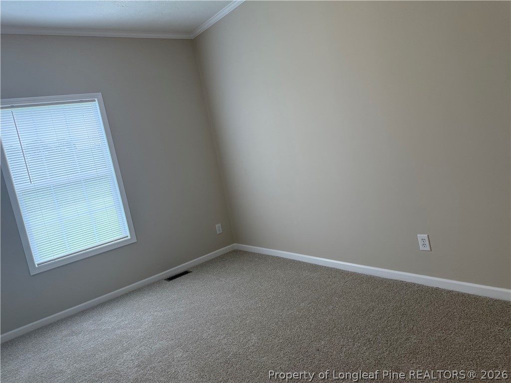 4107 Twisted Hickory Road Elizabethtown, NC 28337 - Photo 34 of 35