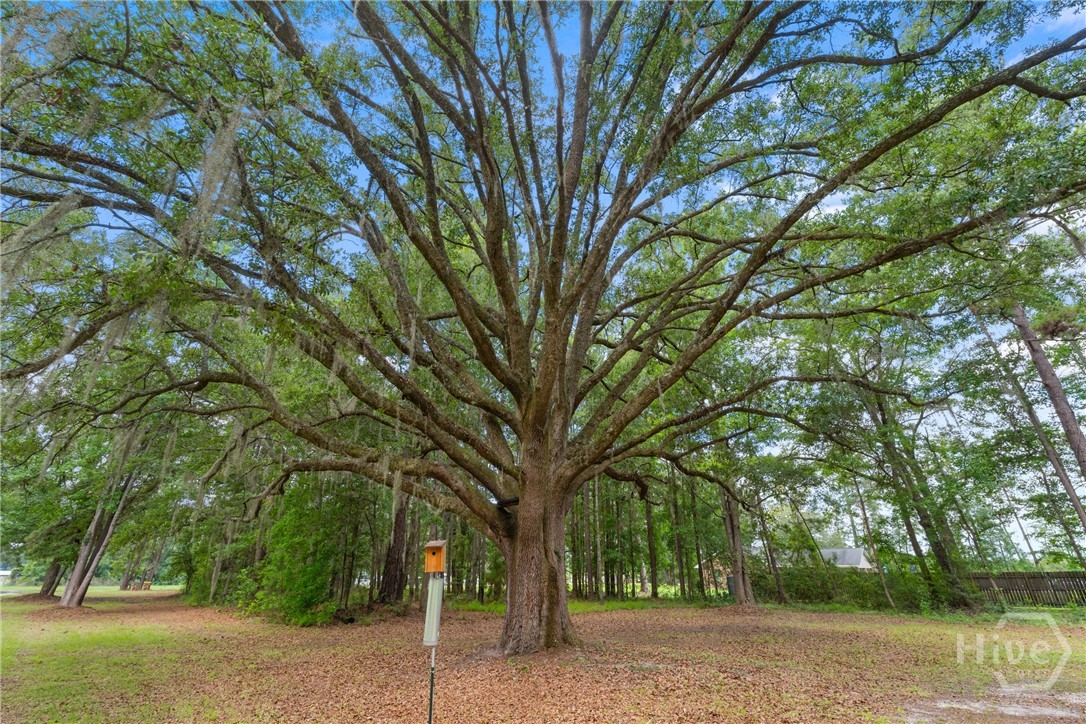 130 Porter Road Guyton, GA 31312 - Photo 28 of 49