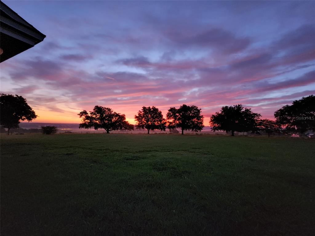 34868 Prospect Road Dade City, FL 33525 - Photo 4 of 95