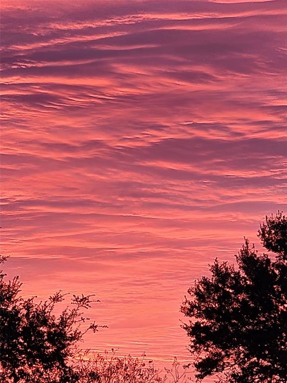 34868 Prospect Road Dade City, FL 33525 - Photo 5 of 95