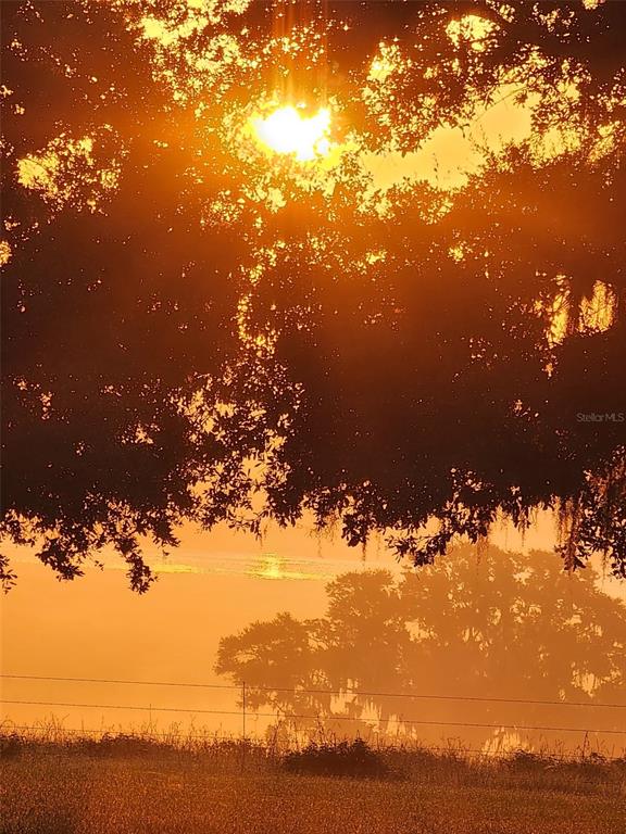 34868 Prospect Road Dade City, FL 33525 - Photo 6 of 95