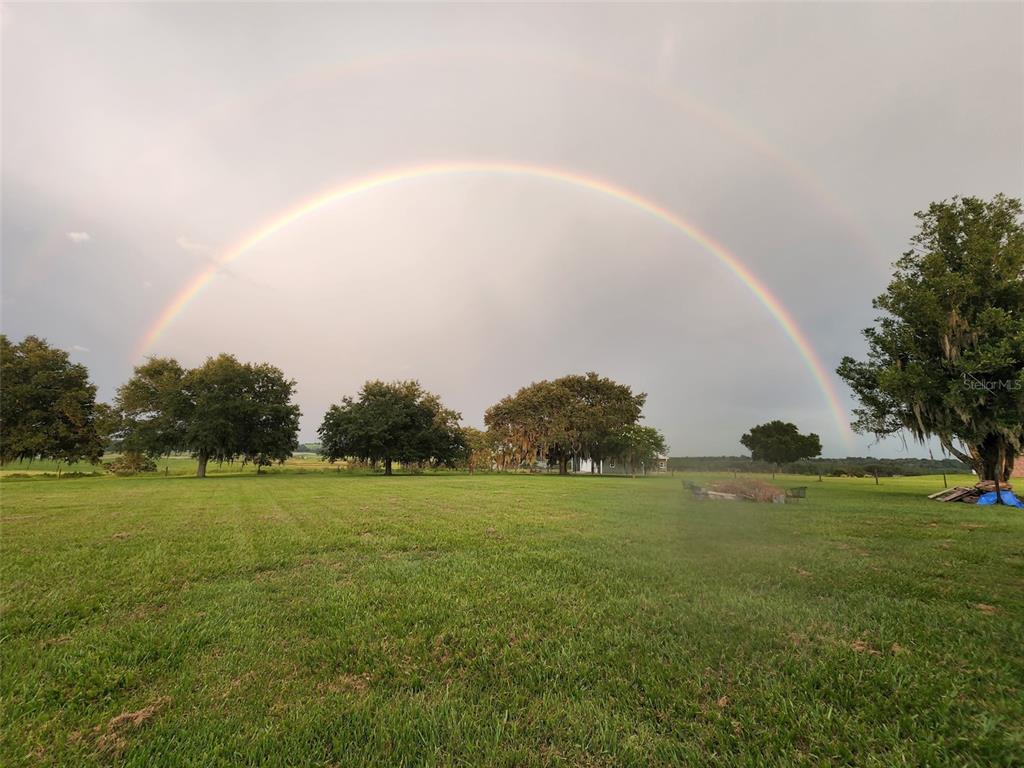 34868 Prospect Road Dade City, FL 33525 - Photo 8 of 95
