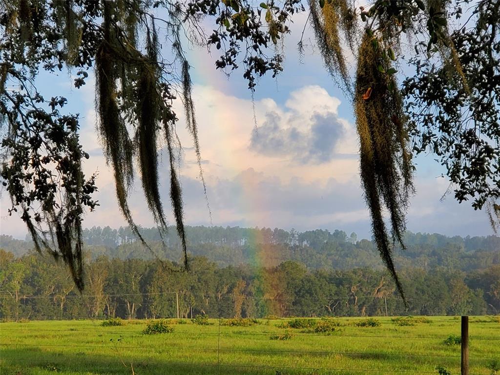 34868 Prospect Road Dade City, FL 33525 - Photo 9 of 95