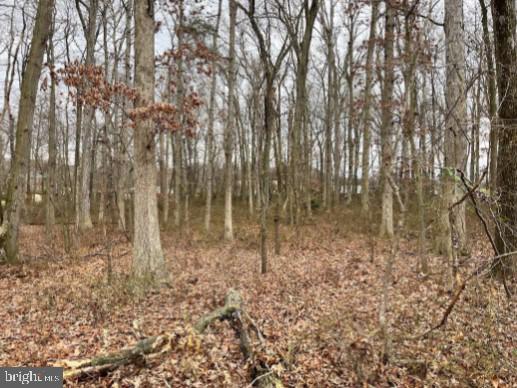 Bird River Road Middle River, MD 21220 - Photo 21 of 21 Interior photo (2022)
