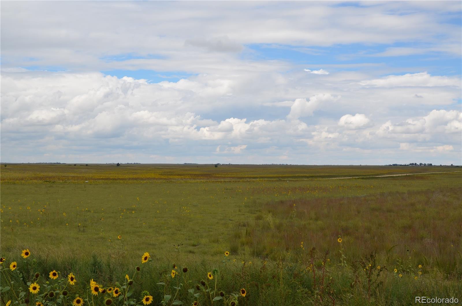 7 County Road Rush, CO 80833 - Photo 6 of 7 Gallery Image 6