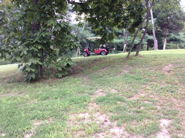111 Friendship Road Falls Of Rough, KY 40119 - Photo 11 of 11 10