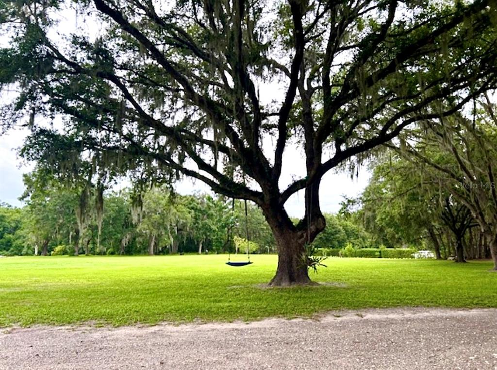 528 Ashley Lane Center Hill, FL 33514 - Photo 13 of 18