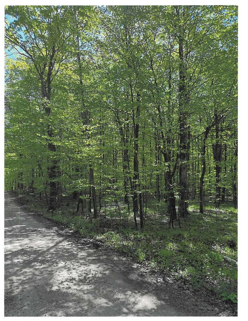 Lot #1 South Highland Road Fish Creek, WI 54212 - Photo 2 of 3