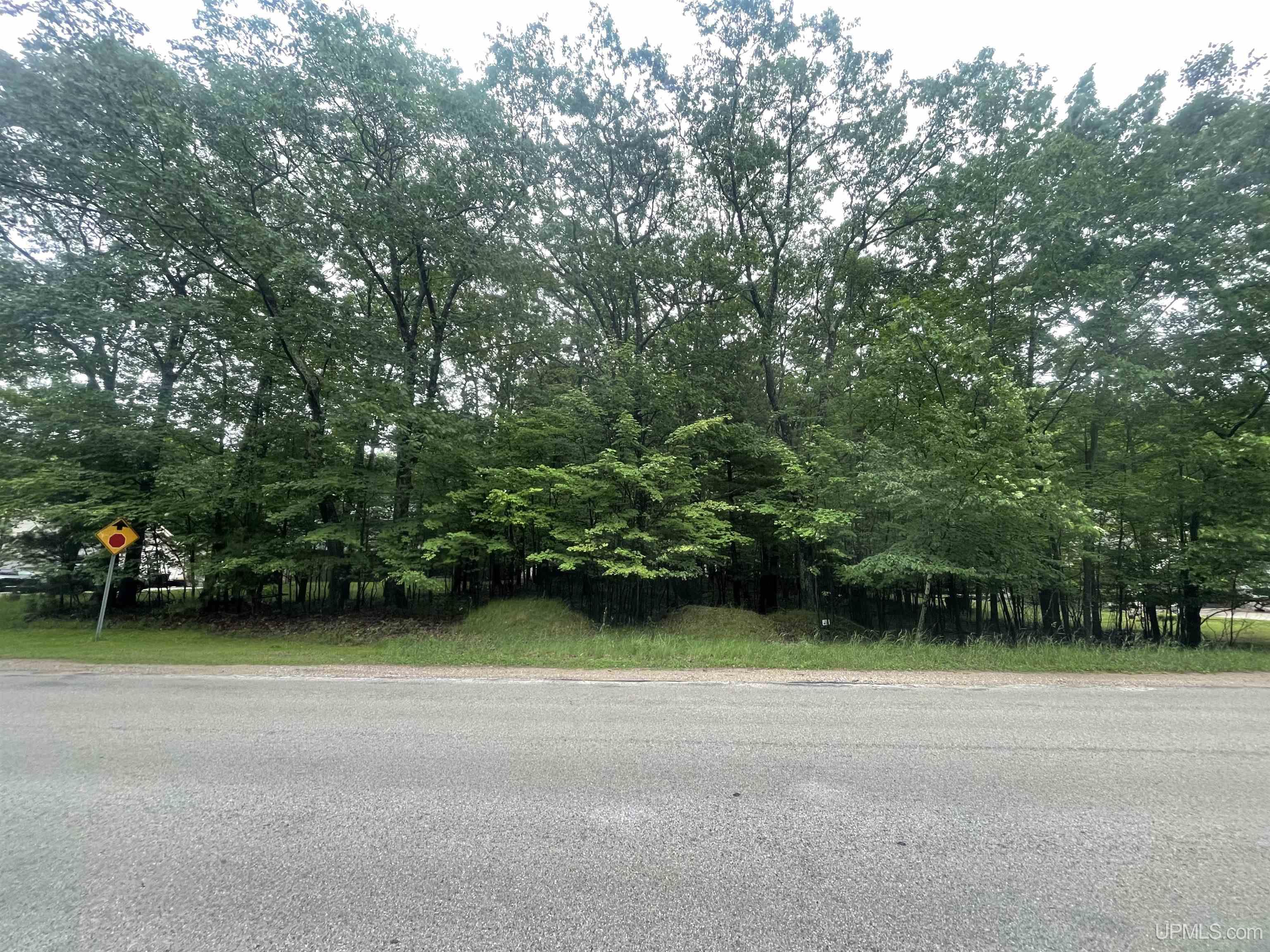 7772 Tipperary Road Gladstone, MI 49837 - Photo 1 of 5