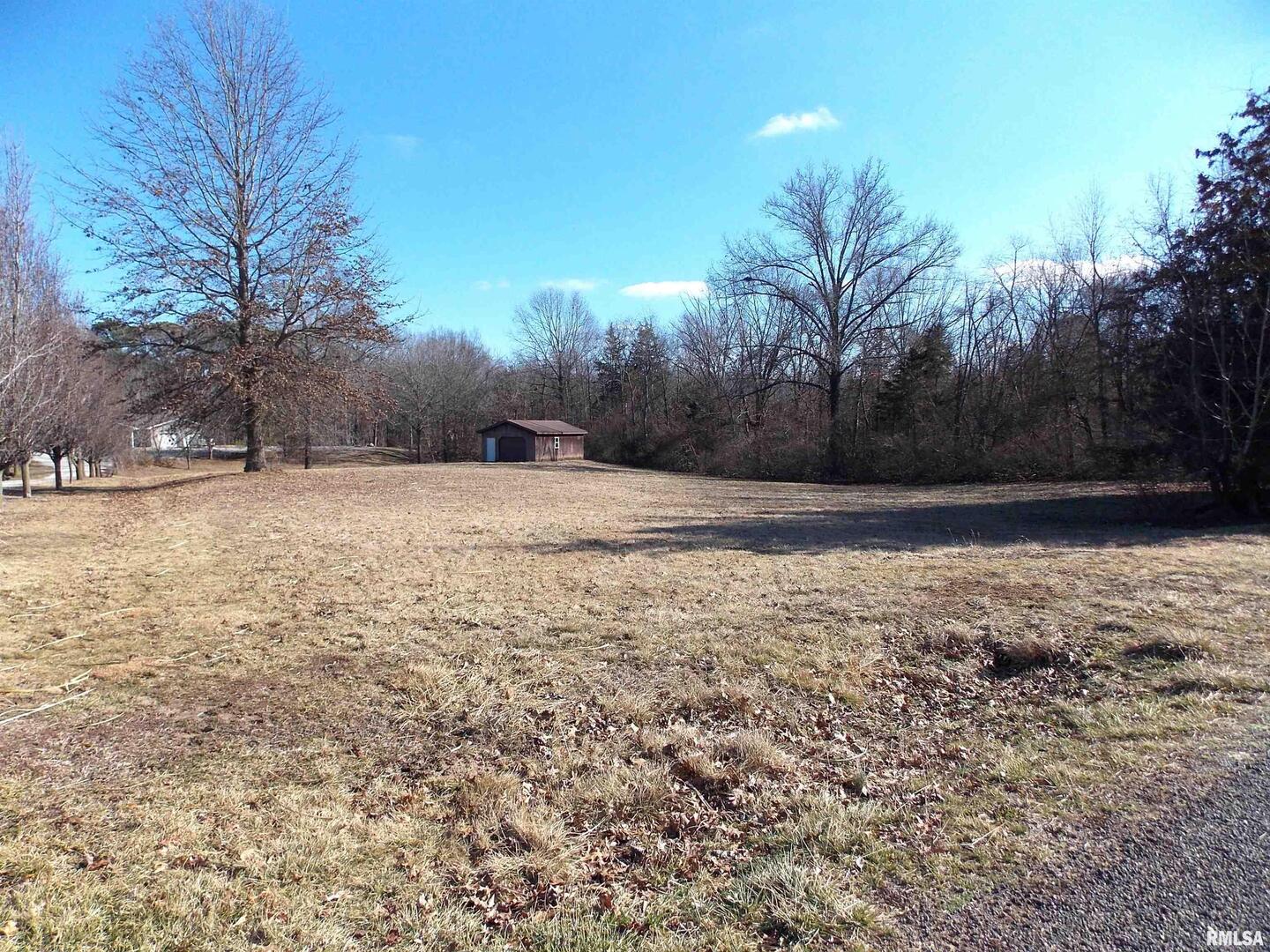 1966 Ross Road Centralia, IL 62801 - Photo 1 of 6 a view of backyard with large trees