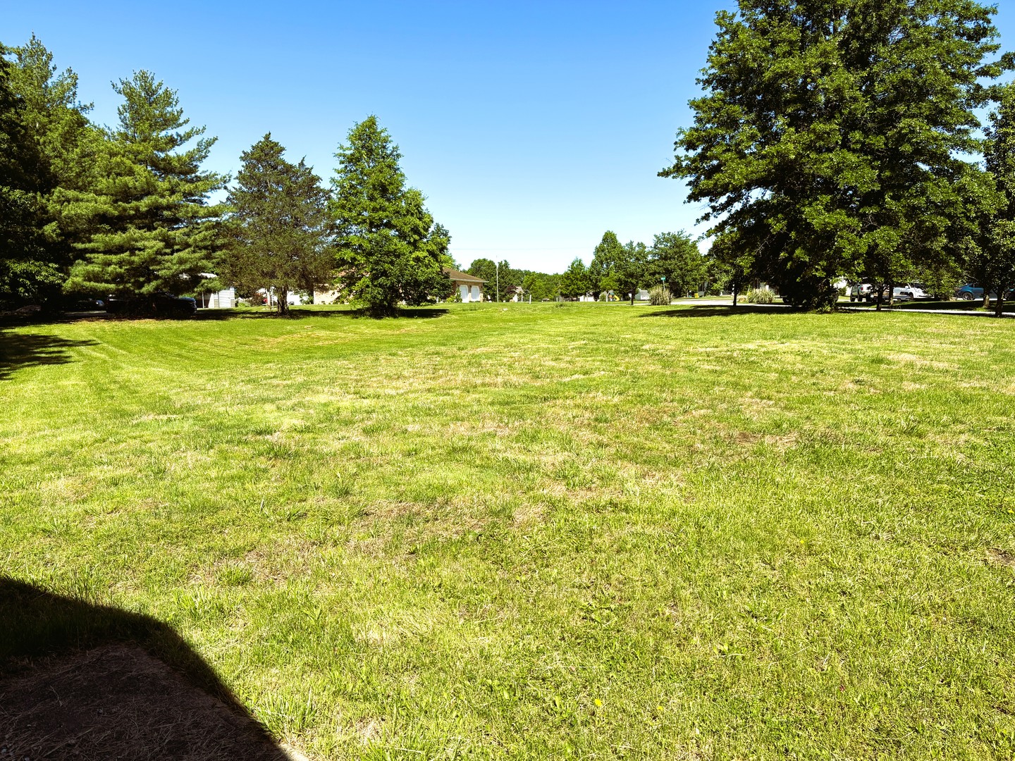 1966 Ross Road Centralia, IL 62801 - Photo 2 of 5 a view of yard with green space