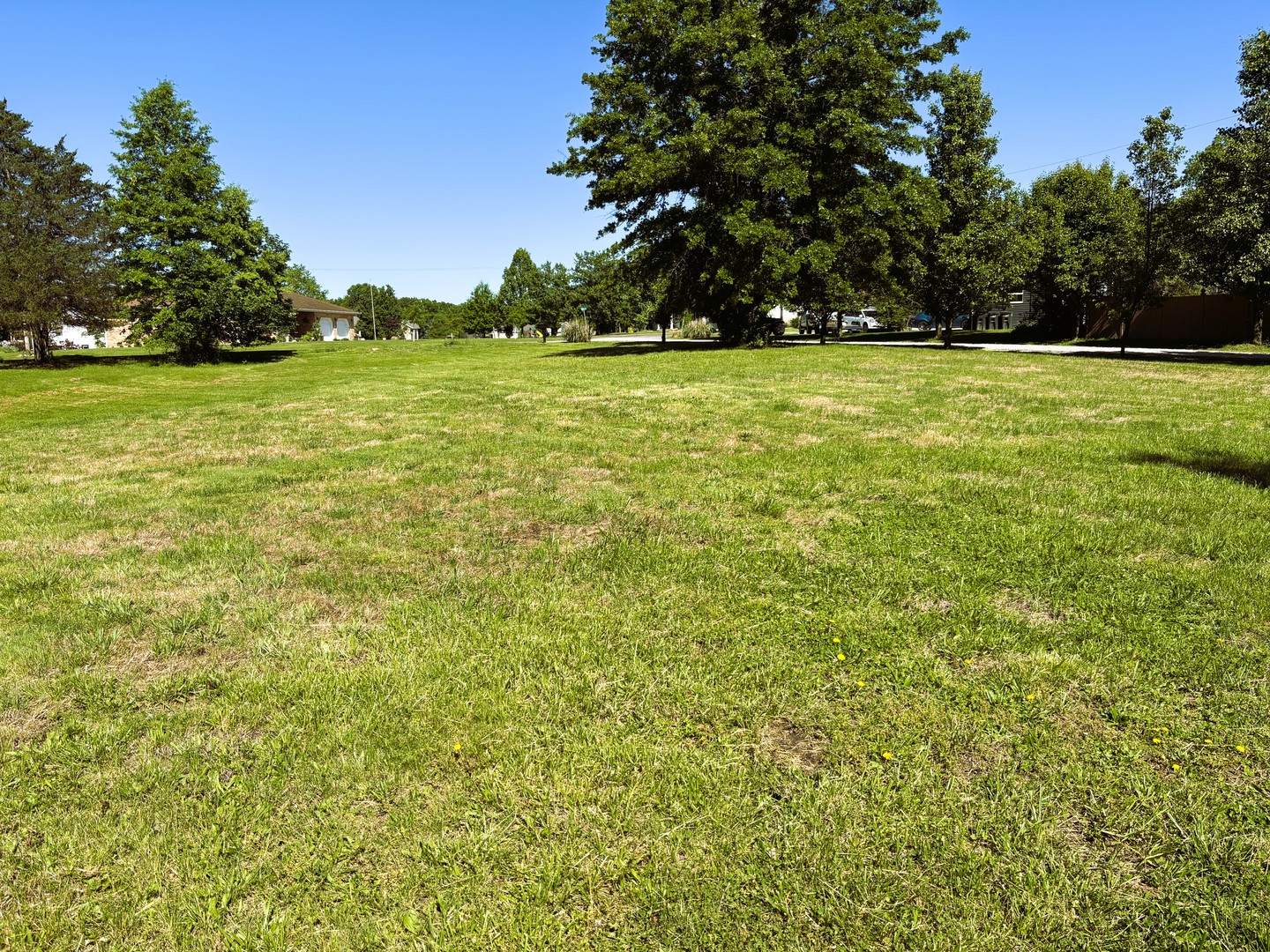 1966 Ross Road Centralia, IL 62801 - Photo 3 of 5 a view of a field with an trees in the background