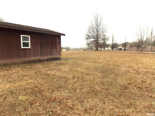 a view of dirt yard with a large tree