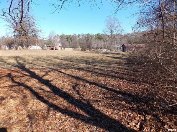 a view of a yard with a tree