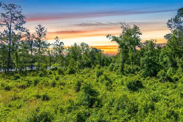 a view of a garden with a lake