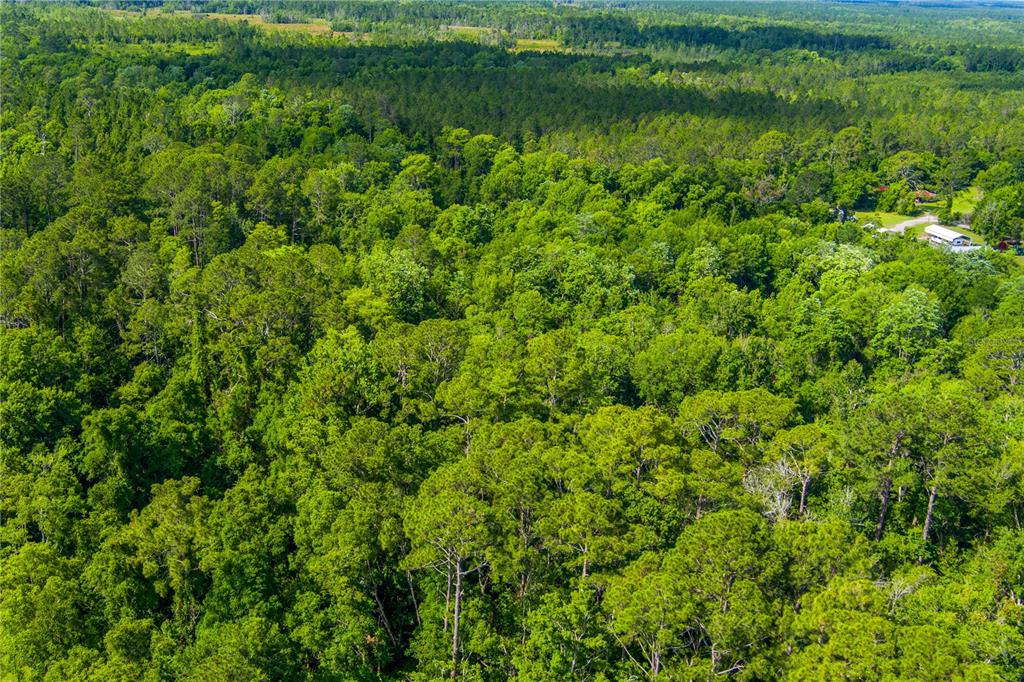 3201 Raulerson Road East St. Augustine, FL 32092 - Photo 3 of 14