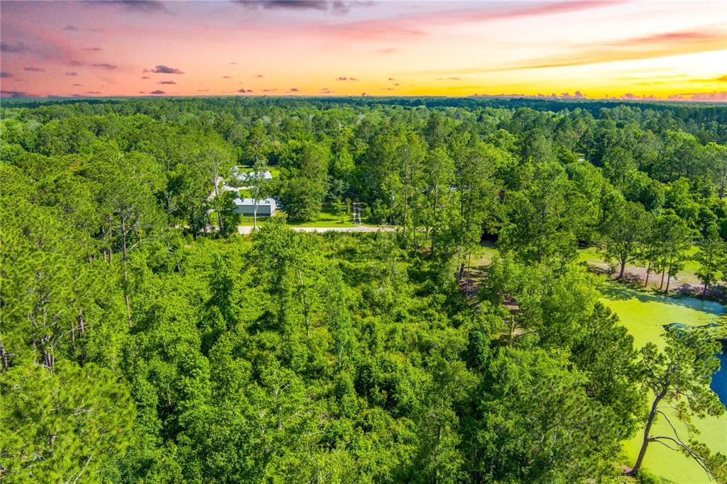 3201 Raulerson Road East St. Augustine, FL 32092 - Photo 9 of 14 a view of a city with lush green forest