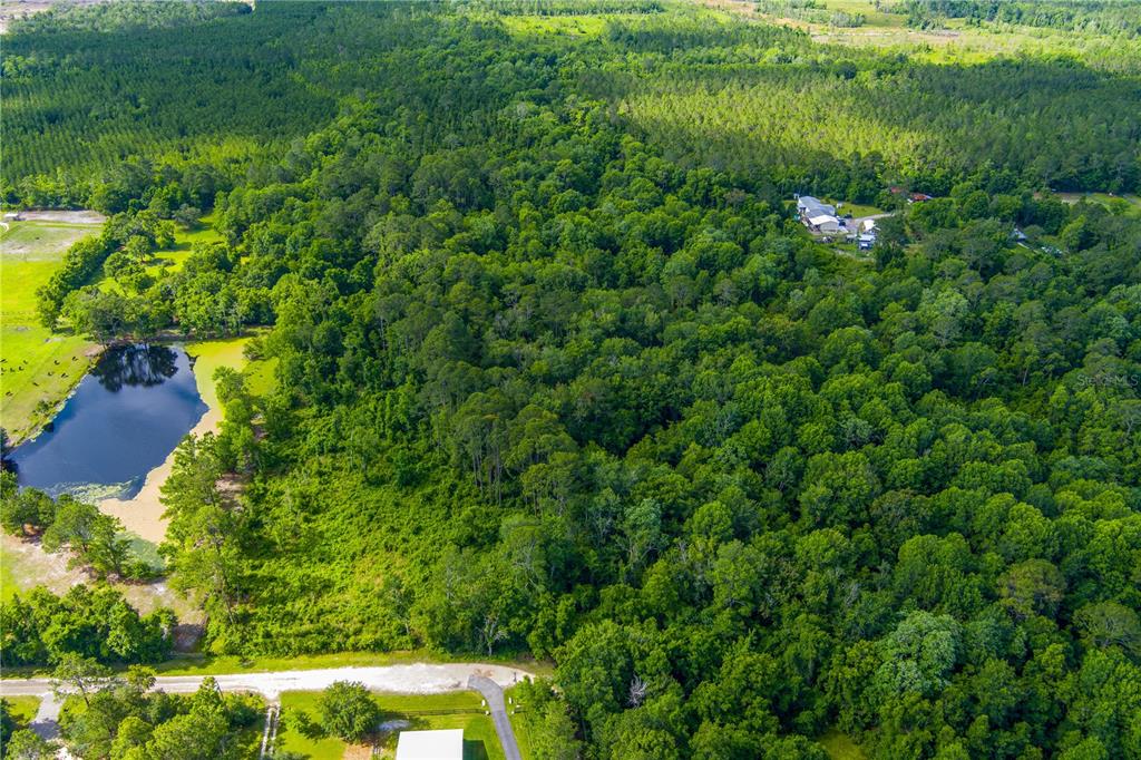 3201 Raulerson Road East St. Augustine, FL 32092 - Photo 10 of 14 a view of yard with green space