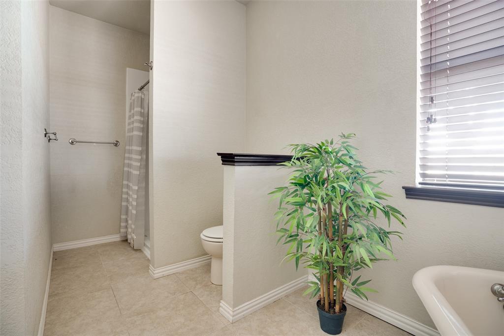 211 Bayne Road Haslet, TX 76052 - Photo 12 of 18 a potted plant sitting in a bathroom next to a window