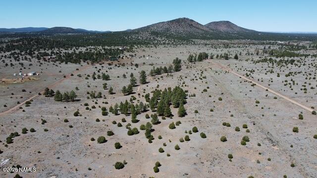 5308 Red Mountain Road Williams, AZ 86046 - Photo 15 of 15 a view of a mountain