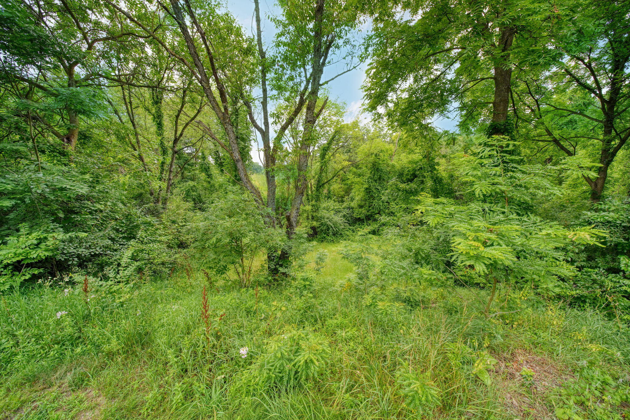3930 Hoyer Road Jackson, MI 49201 - Photo 35 of 53 34