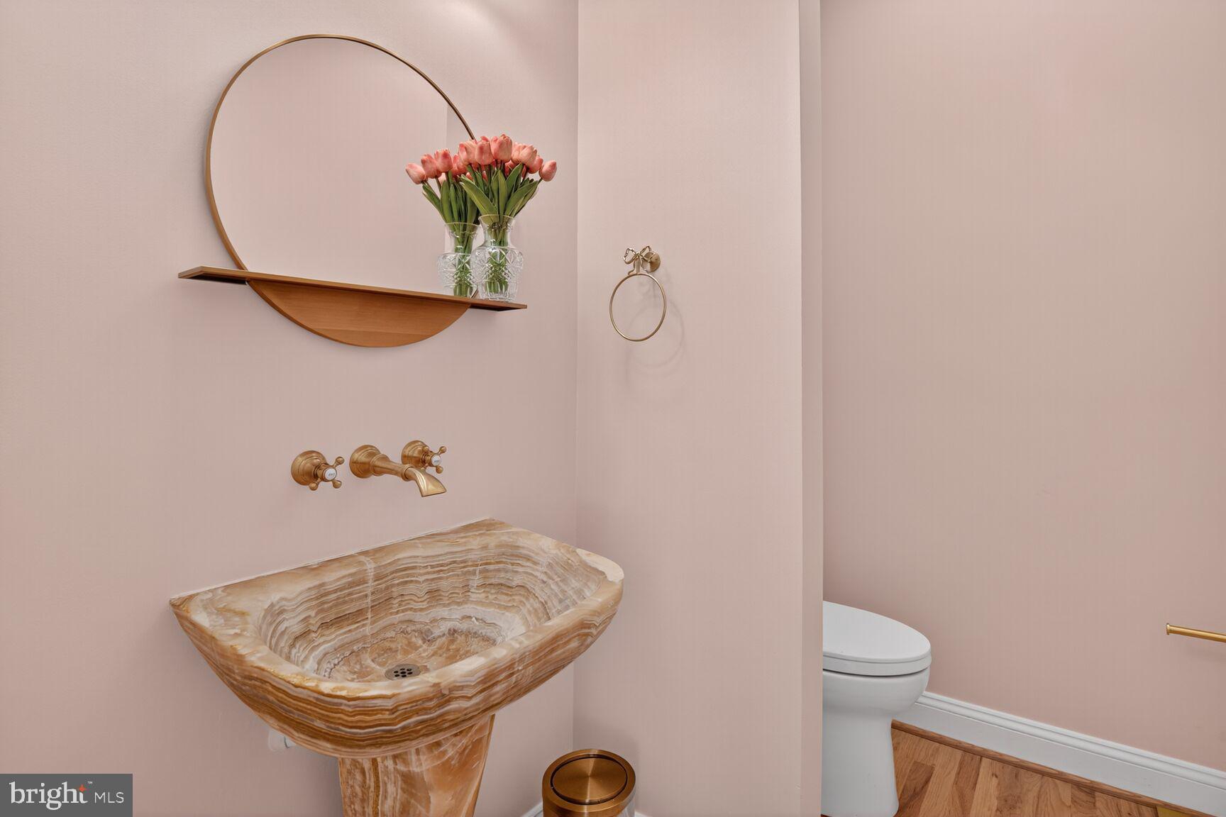 9914 Woodford Road Potomac, MD 20854 - Photo 30 of 87 a bathroom with a sink a mirror and a toilet