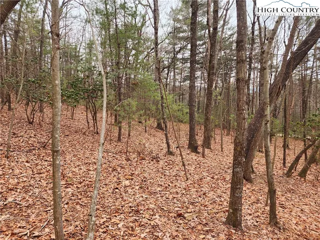 a view of a yard with large trees