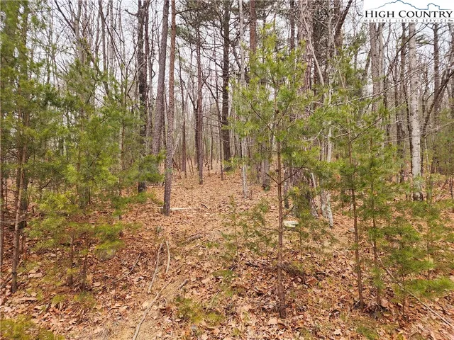 a bathroom with a shower curtain