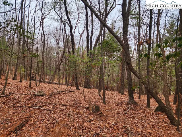 a backyard of a house with trees