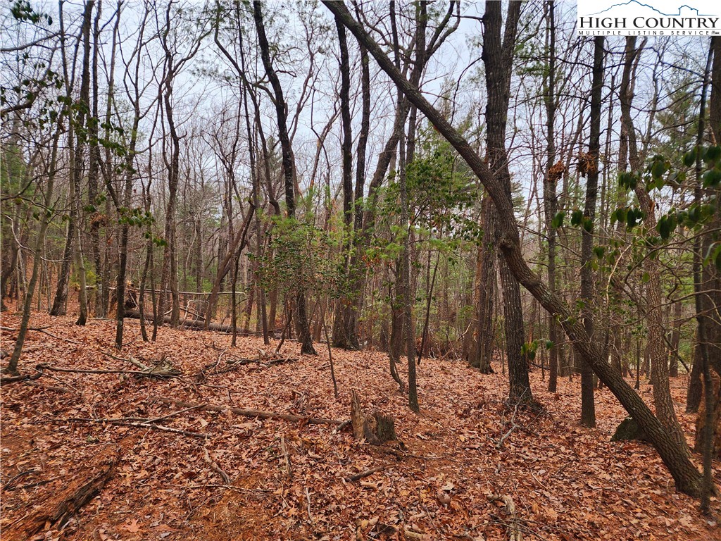 149 Sutter's Ridge Road McGrady, NC 28649 - Photo 4 of 8 a backyard of a house with trees