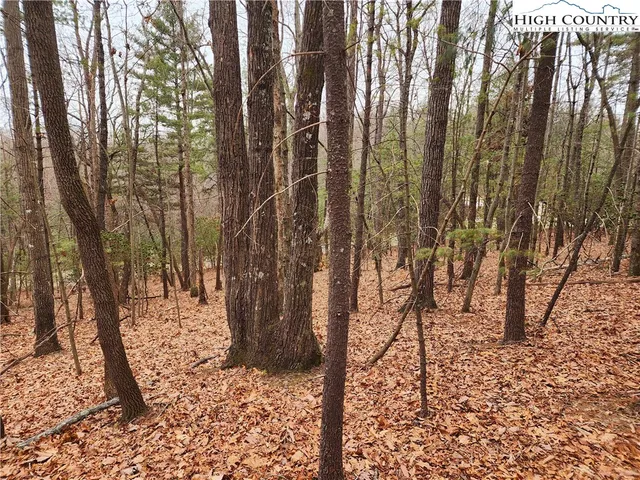 a view of covered with snow