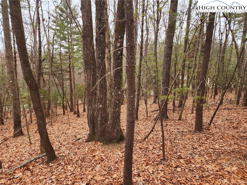 149 Sutter's Ridge Road McGrady, NC 28649 - Photo 5 of 8 a view of covered with snow