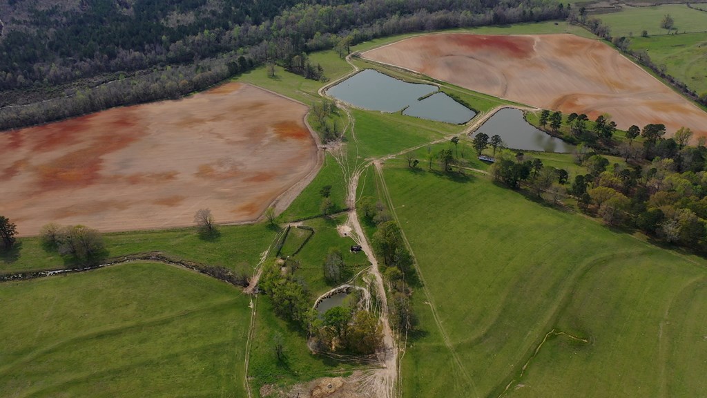 369 Bud Gary Road Clayton, AL 36016 - Photo 19 of 42