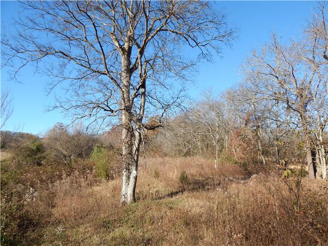0 Henry Bayless Road Ardmore, TN 38449 - Photo 4 of 4