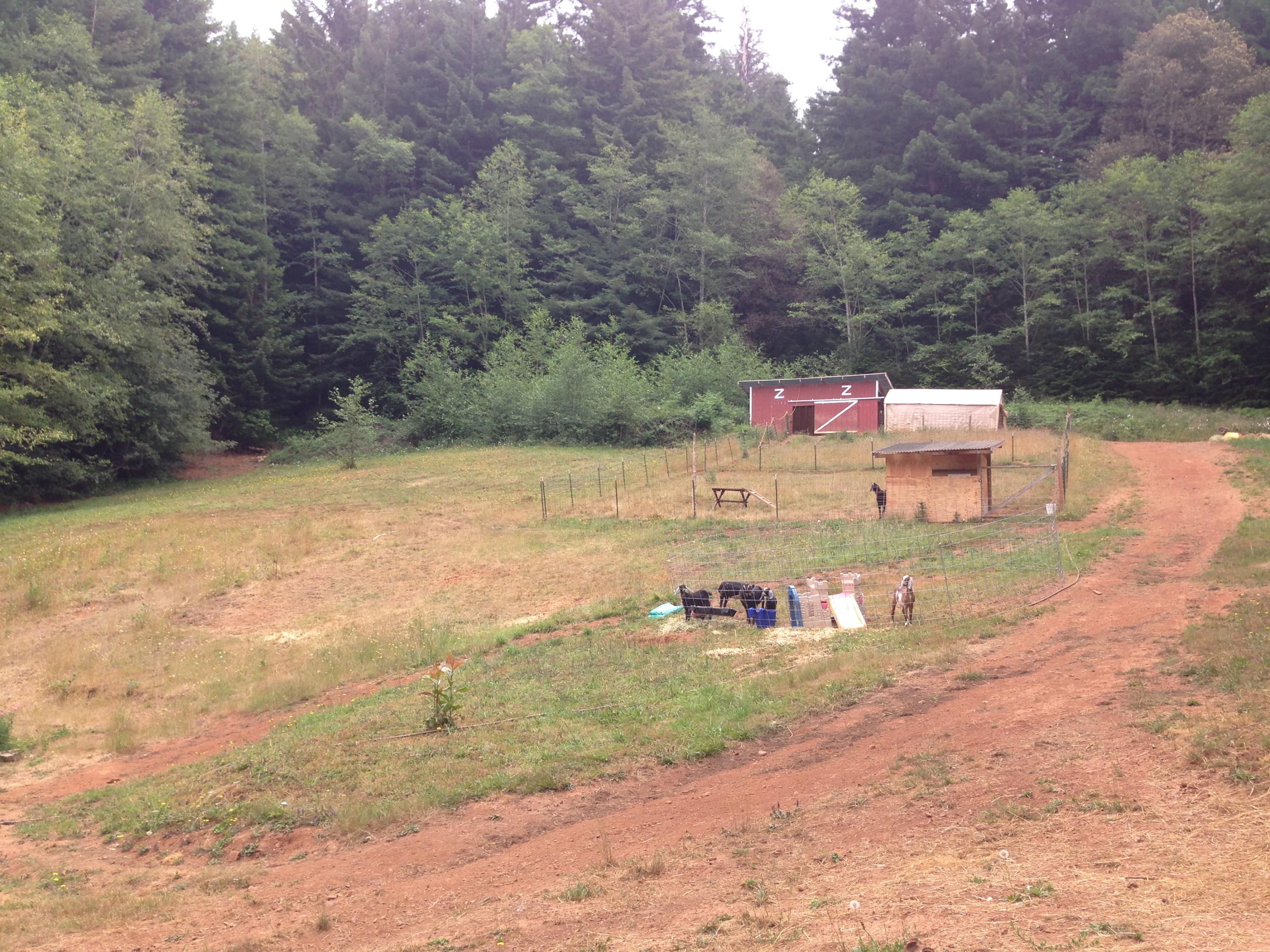 1058 Old Roundhouse Road McKinleyville, CA 95519 - Photo 26 of 27
