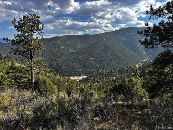 $29,500 | 1 Eagle Mining Claim, Dumont, CO 80436