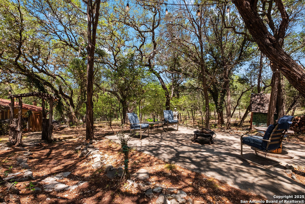 24159 Boerne Stage Road San Antonio, TX 78255 - Photo 46 of 100