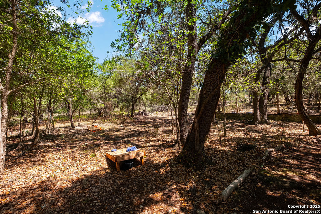 24159 Boerne Stage Road San Antonio, TX 78255 - Photo 49 of 100 a view of a tree with a yard