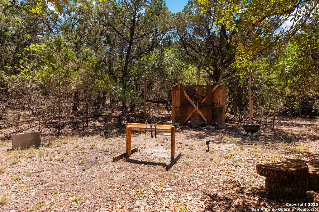 24159 Boerne Stage Road San Antonio, TX 78255 - Photo 52 of 100