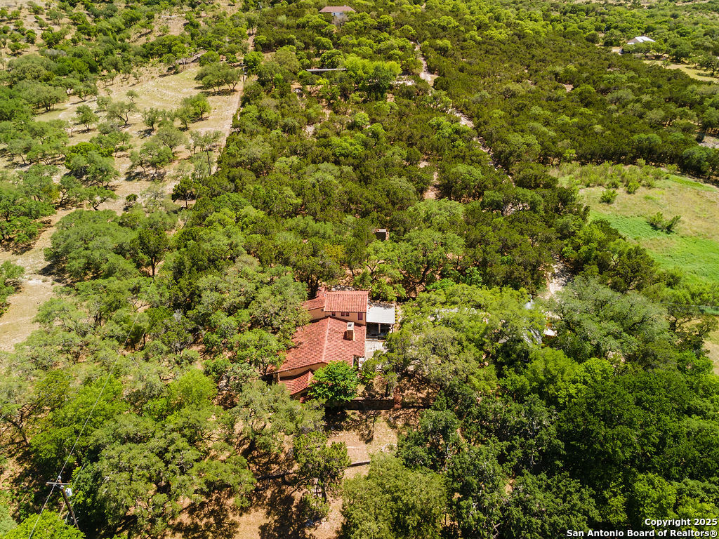 24159 Boerne Stage Road San Antonio, TX 78255 - Photo 96 of 100