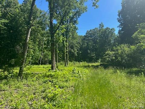 44735 Dunn Road Belleville, MI 48111 - Photo 2 of 4