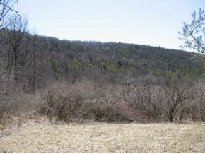 0 Mount Pleasant Road Nichols, NY 13812 - Photo 3 of 12 Gallery Image 3